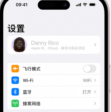 南岸appleID维修服务iPhone设置中Apple ID显示为灰色无法使用 