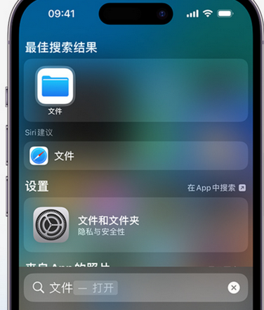 南岸apple维修中心分享iPhone文件应用中存储和找到下载文件 