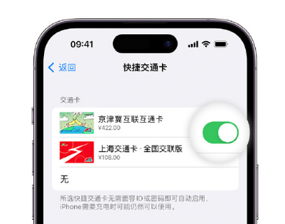 南岸apple维修点分享iPhone上更换Apple Pay快捷交通卡手绘卡面 