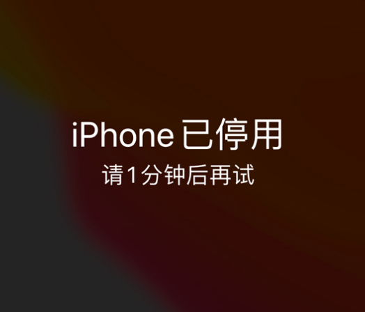 南岸苹果手机维修分享:iPhone 显示“不可用”或“已停用”怎么办？还能保留数据吗？ 