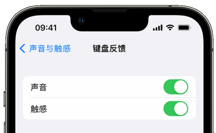 南岸苹果手机维修分享iPhone 14触感键盘使用方法 