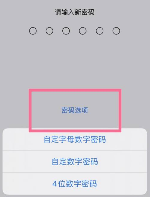 南岸苹果14维修分享iPhone 14plus设置密码的方法 