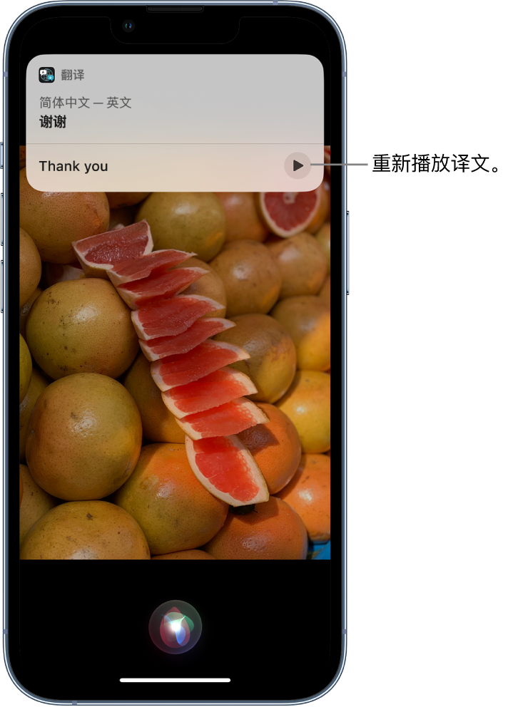 南岸苹果14维修分享 iPhone 14 机型中使用 Siri：了解 Siri 能帮你做什么 