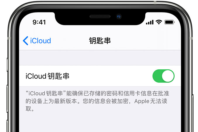 南岸苹果手机维修分享在 iPhone 上开启 iCloud 钥匙串之后会储存哪些信息 