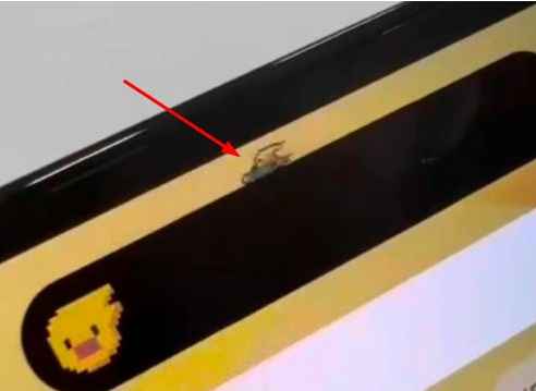 南岸苹果14维修分享iPhone 14 Pro Max灵动岛怎么养宠物 