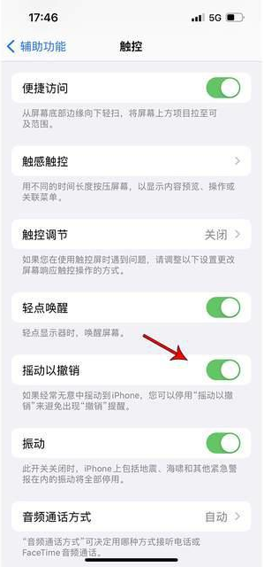 南岸苹果手机维修分享iPhone手机如何设置摇一摇删除文字 