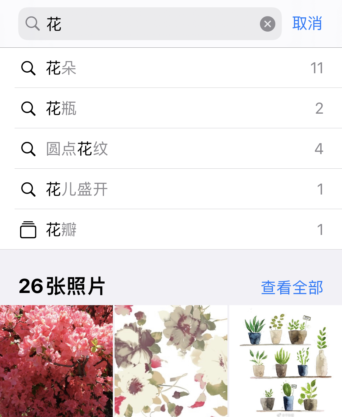 南岸苹果手机维修分享iPhone 小技巧 