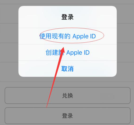 南岸苹果手机维修分享两台iPhone设备可以同时登录一个Apple ID吗 
