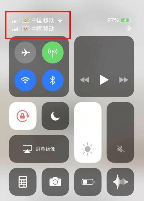 南岸苹果手机维修分享为 iPhone 12 双卡设置标签 